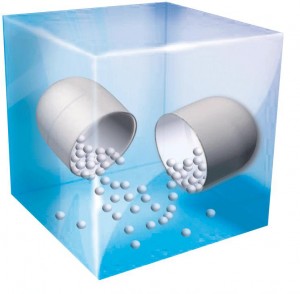 pellets2-300x294.jpg